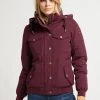 Mujer DREIMASTER PARKSTER - Chaqueta Outdoor - Bordeaux